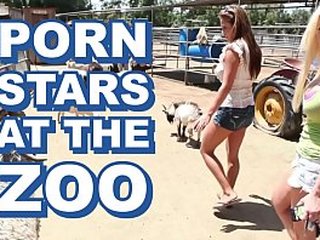 BANGBROS - Sexy Pornstars Invade Famous Zoo & Fuck Zookeeper